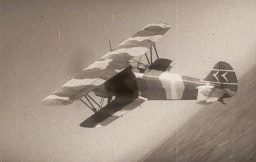 Истребитель Ki-10-II K в игре War Thunder